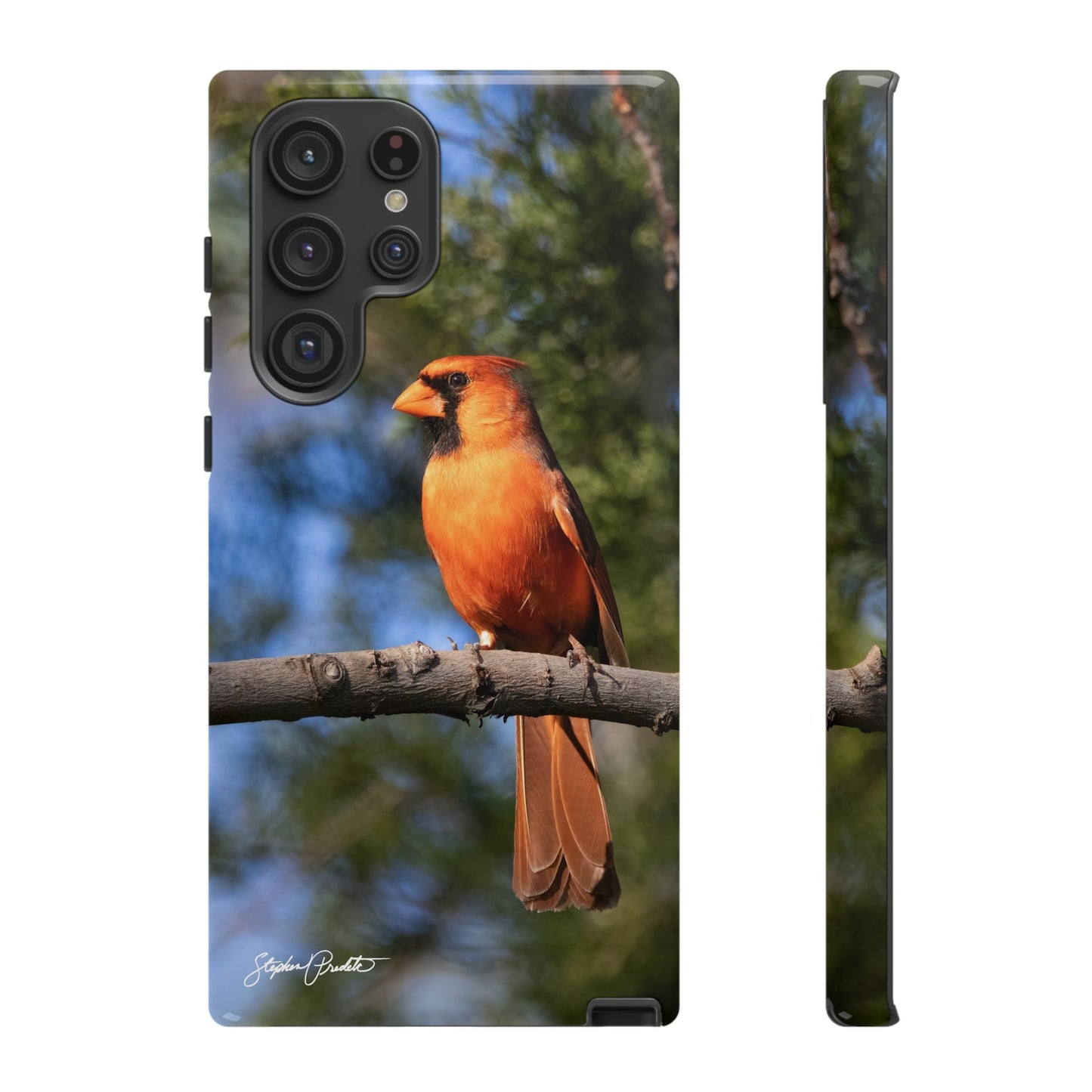 Phone Tough Case - Male Northern Cardinal
