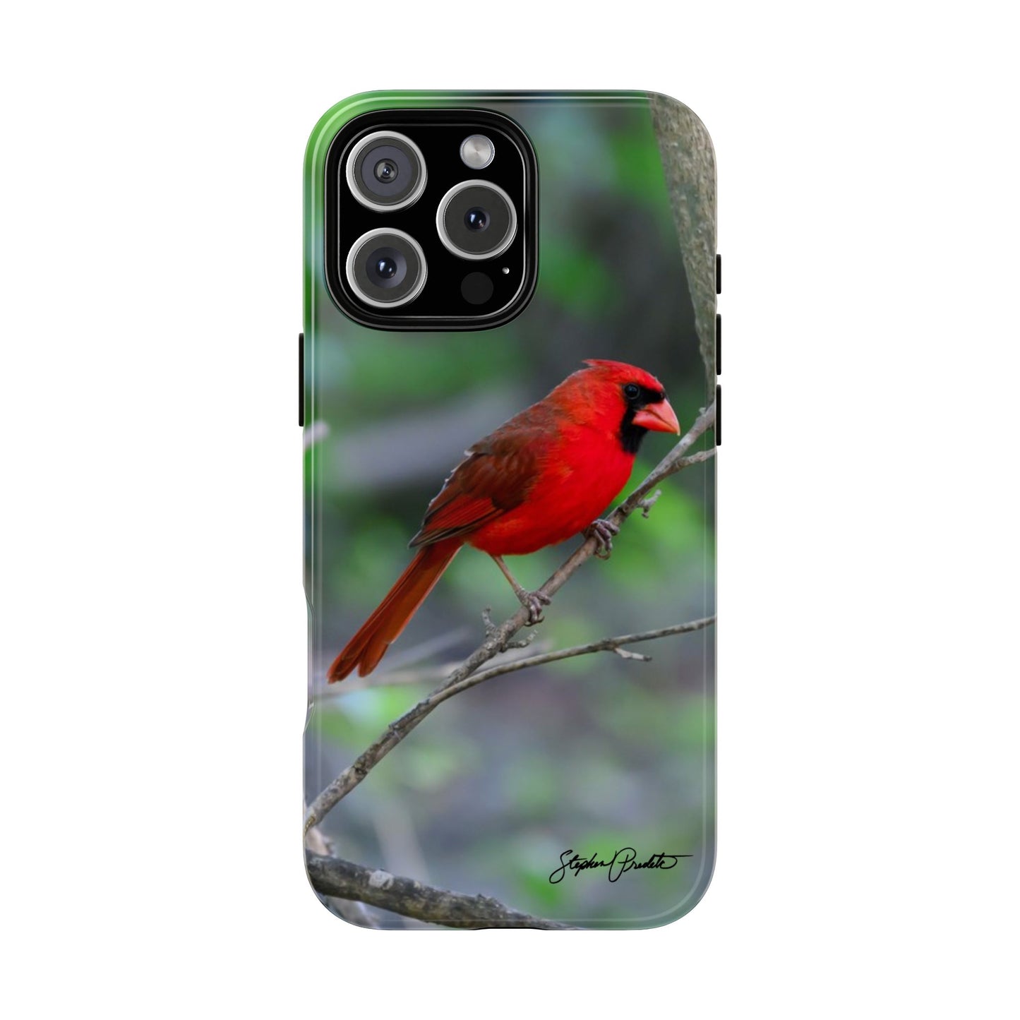Phone Tough Case - Northern Cardinal 2