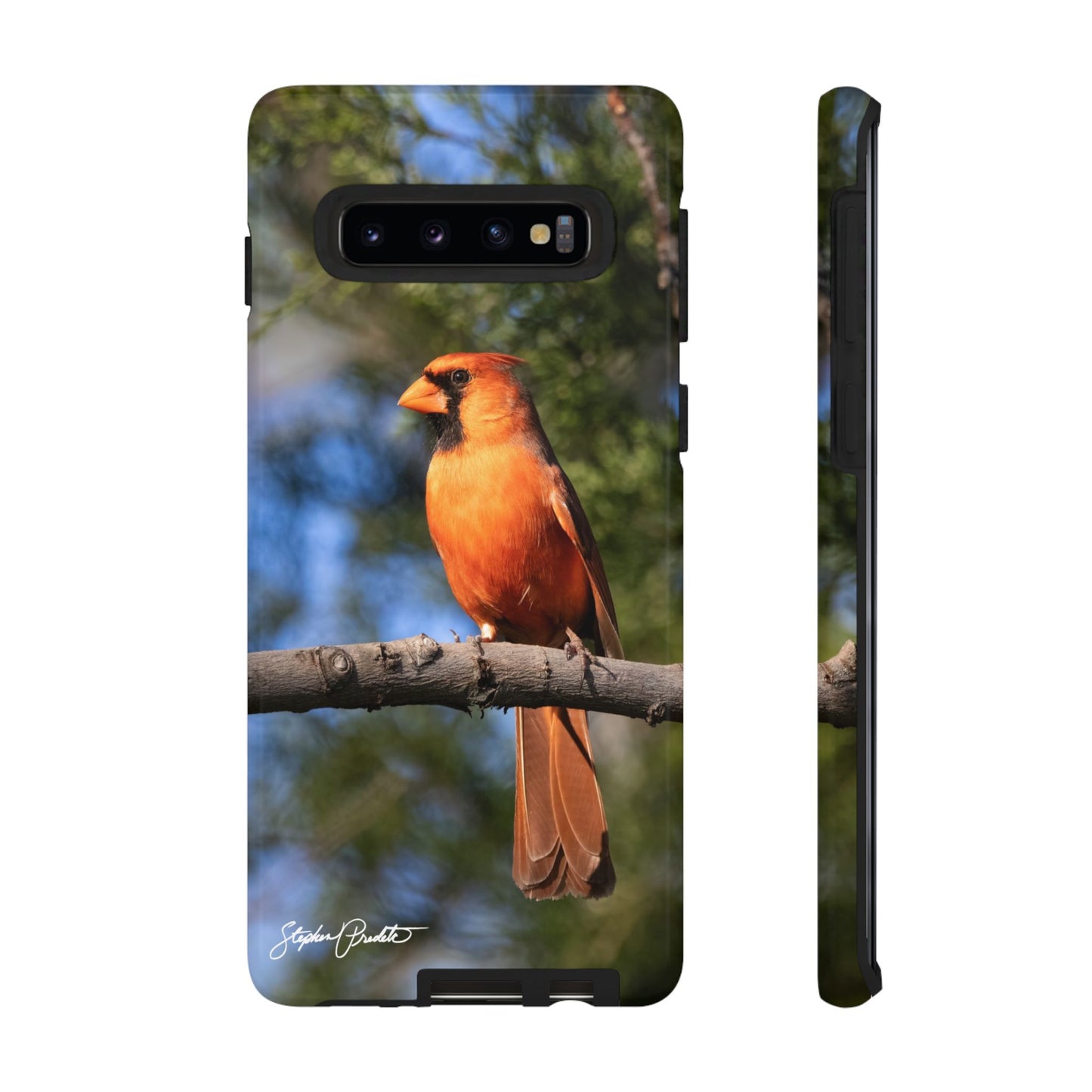 Phone Tough Case - Male Northern Cardinal