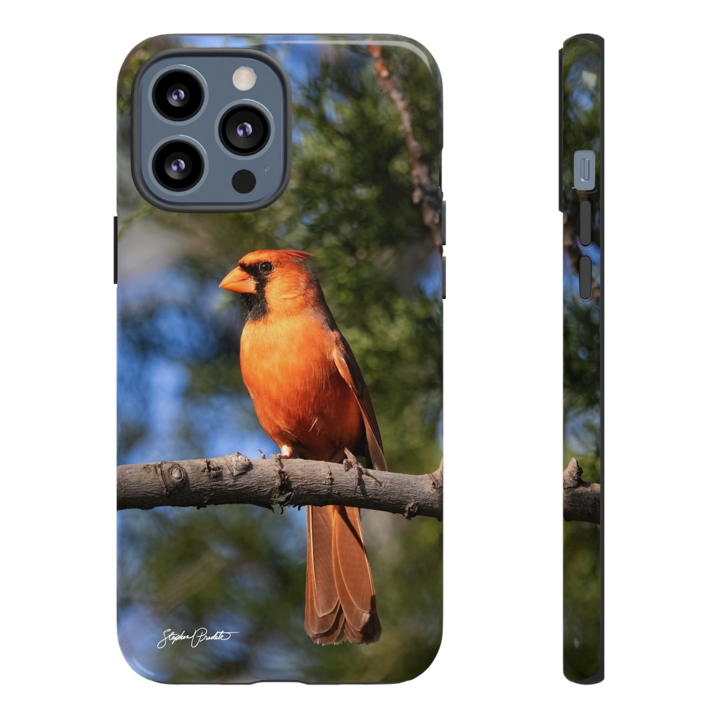 Phone Tough Case - Male Northern Cardinal