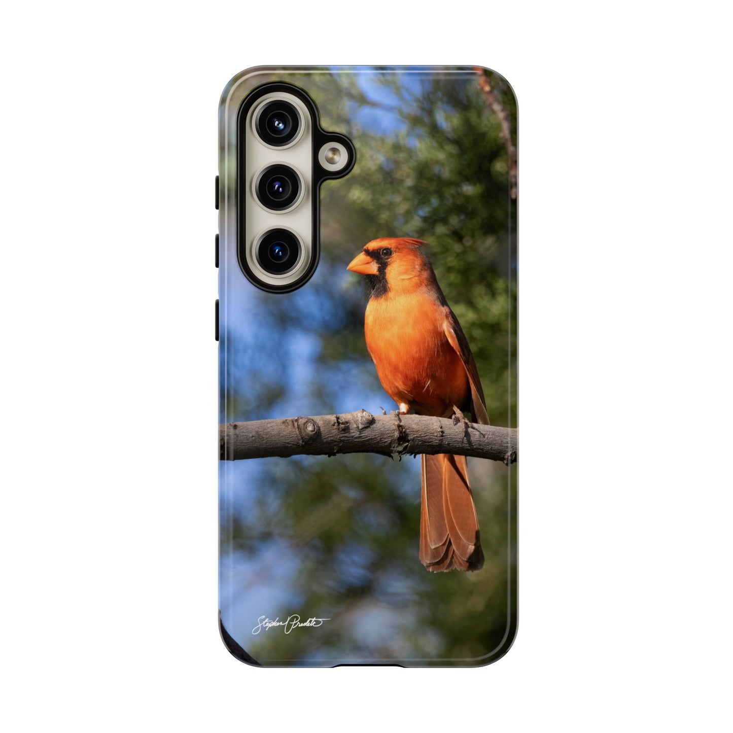 Phone Tough Case - Male Northern Cardinal