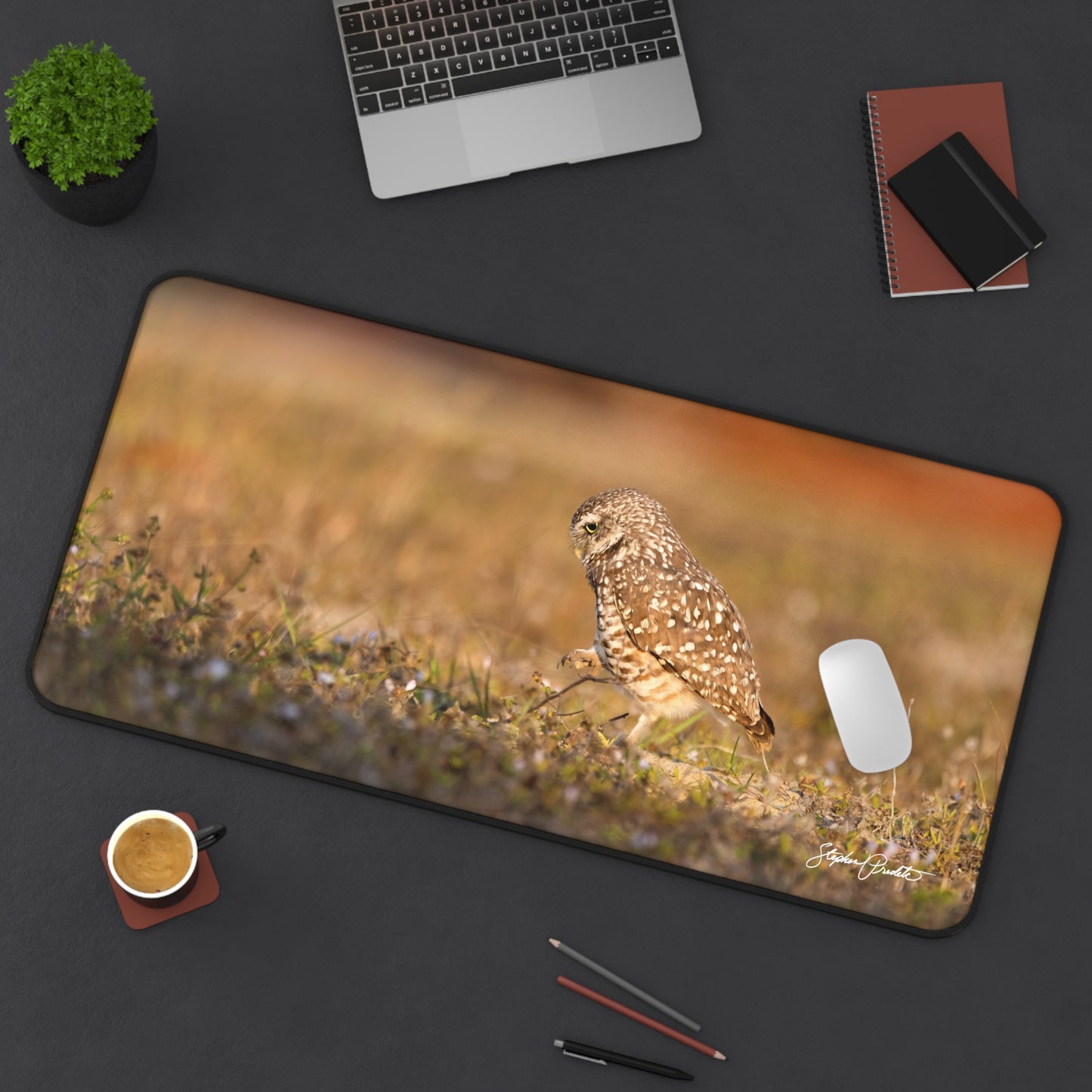Desk Mat -- Burrowing Owl Stroll