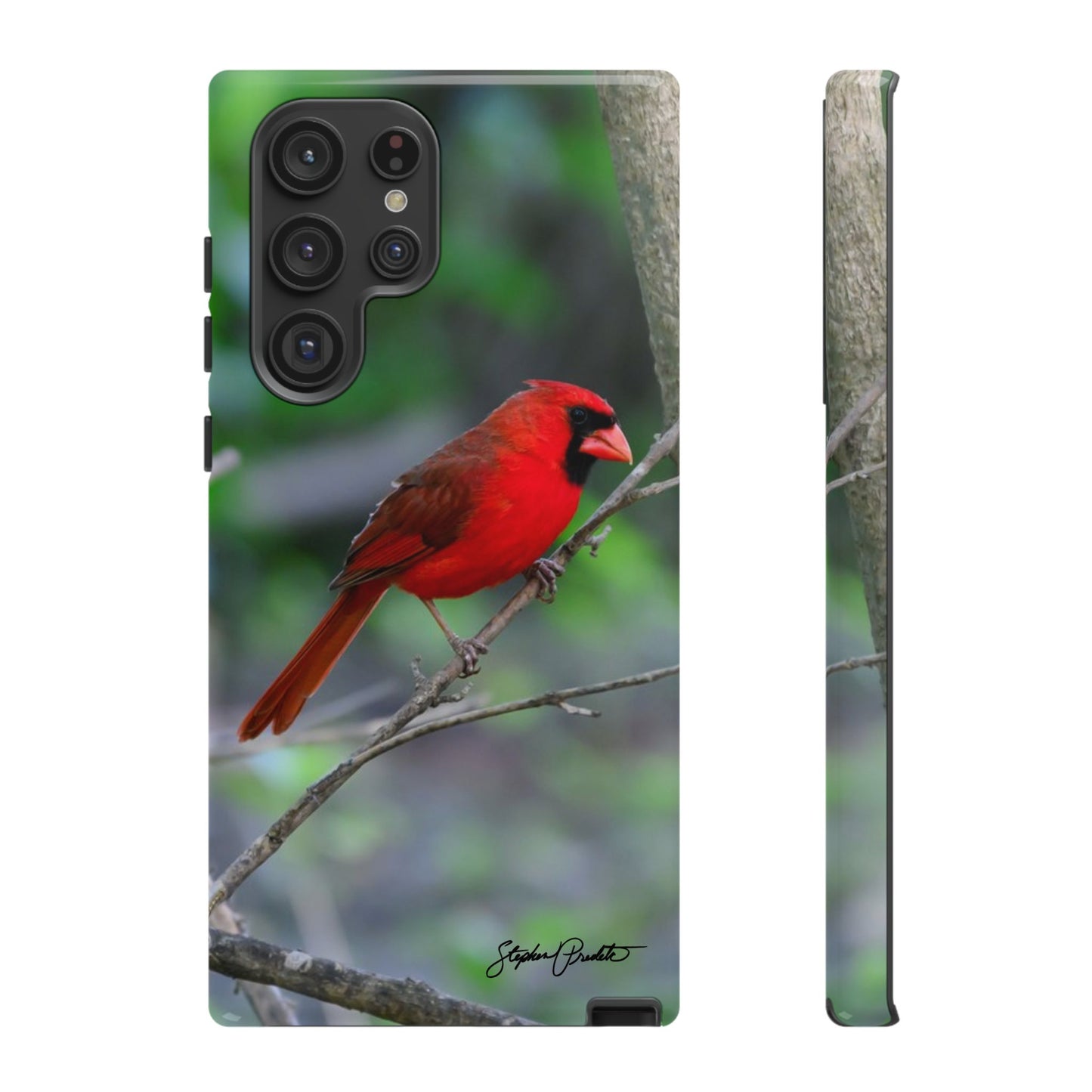 Phone Tough Case - Northern Cardinal 2