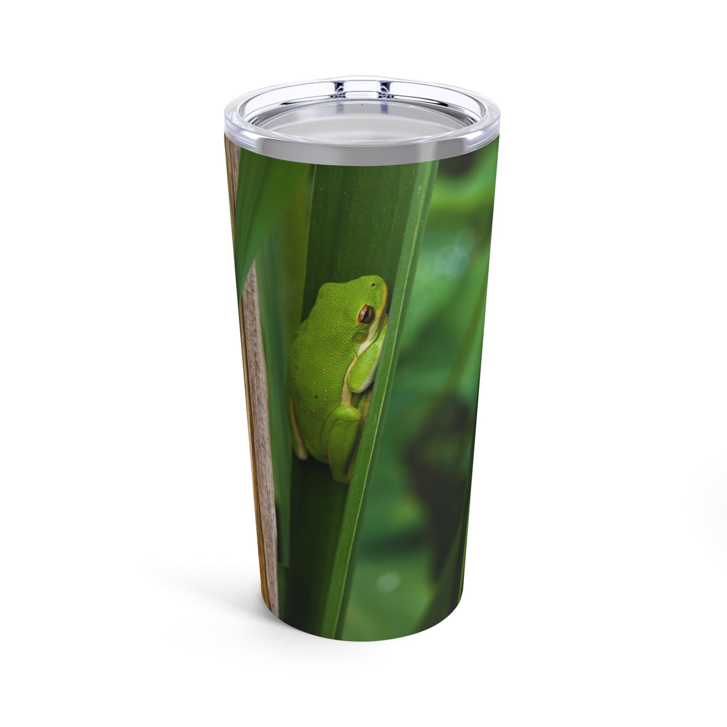 Tumbler 20oz -- Tree Frog on a Reed