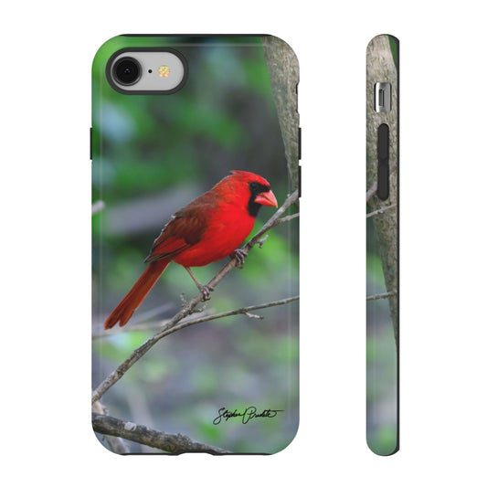 Phone Tough Case - Northern Cardinal 2