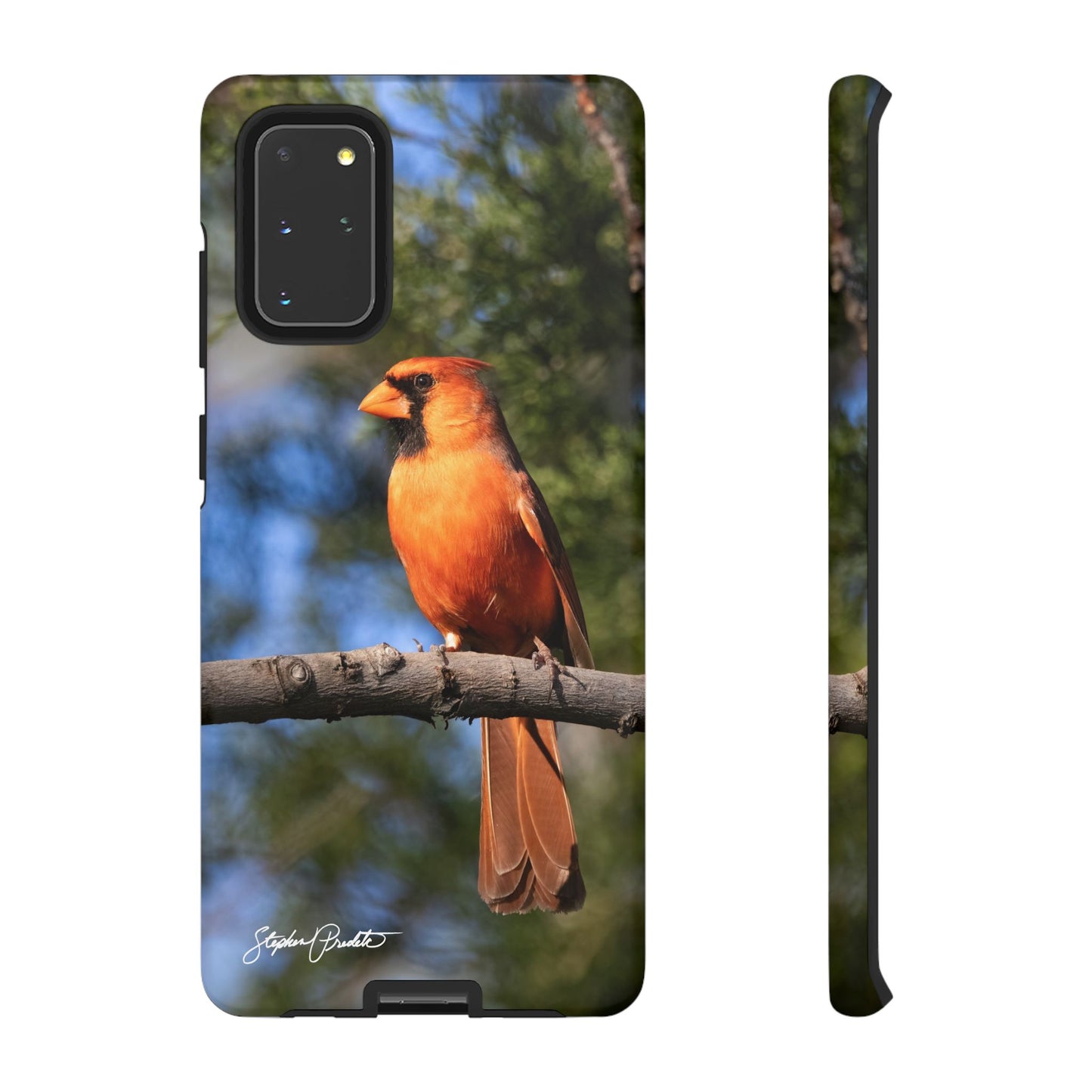 Phone Tough Case - Male Northern Cardinal