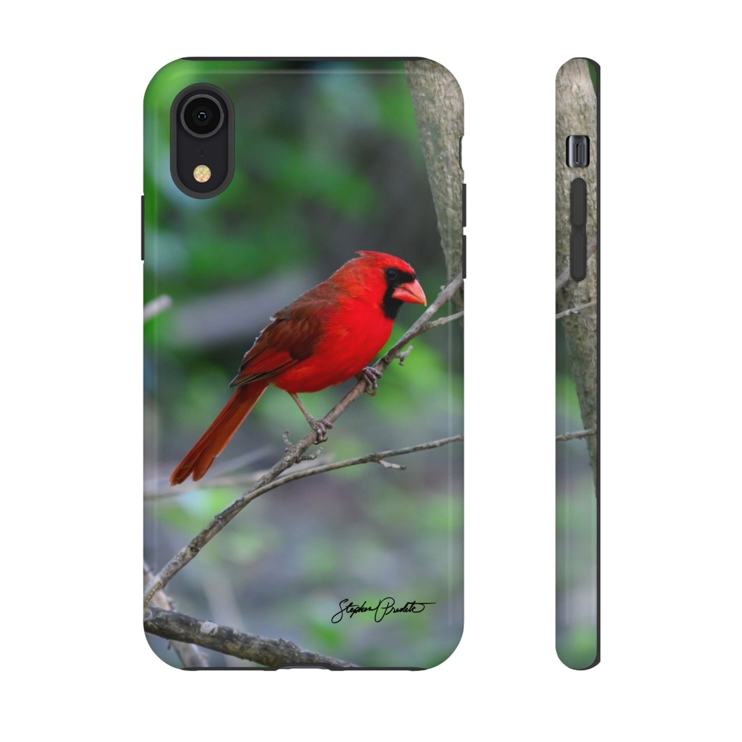 Phone Tough Case - Northern Cardinal 2
