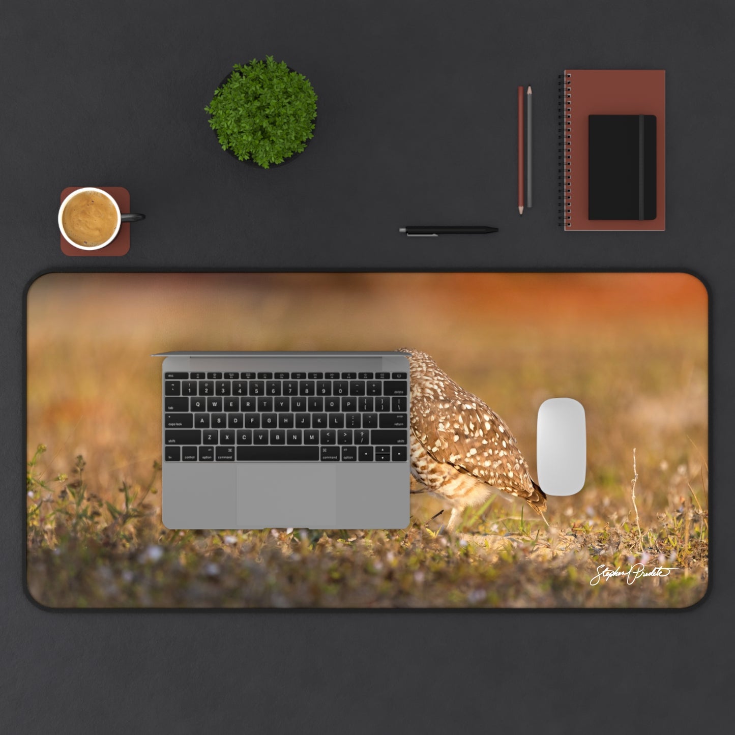 Desk Mat -- Burrowing Owl Stroll