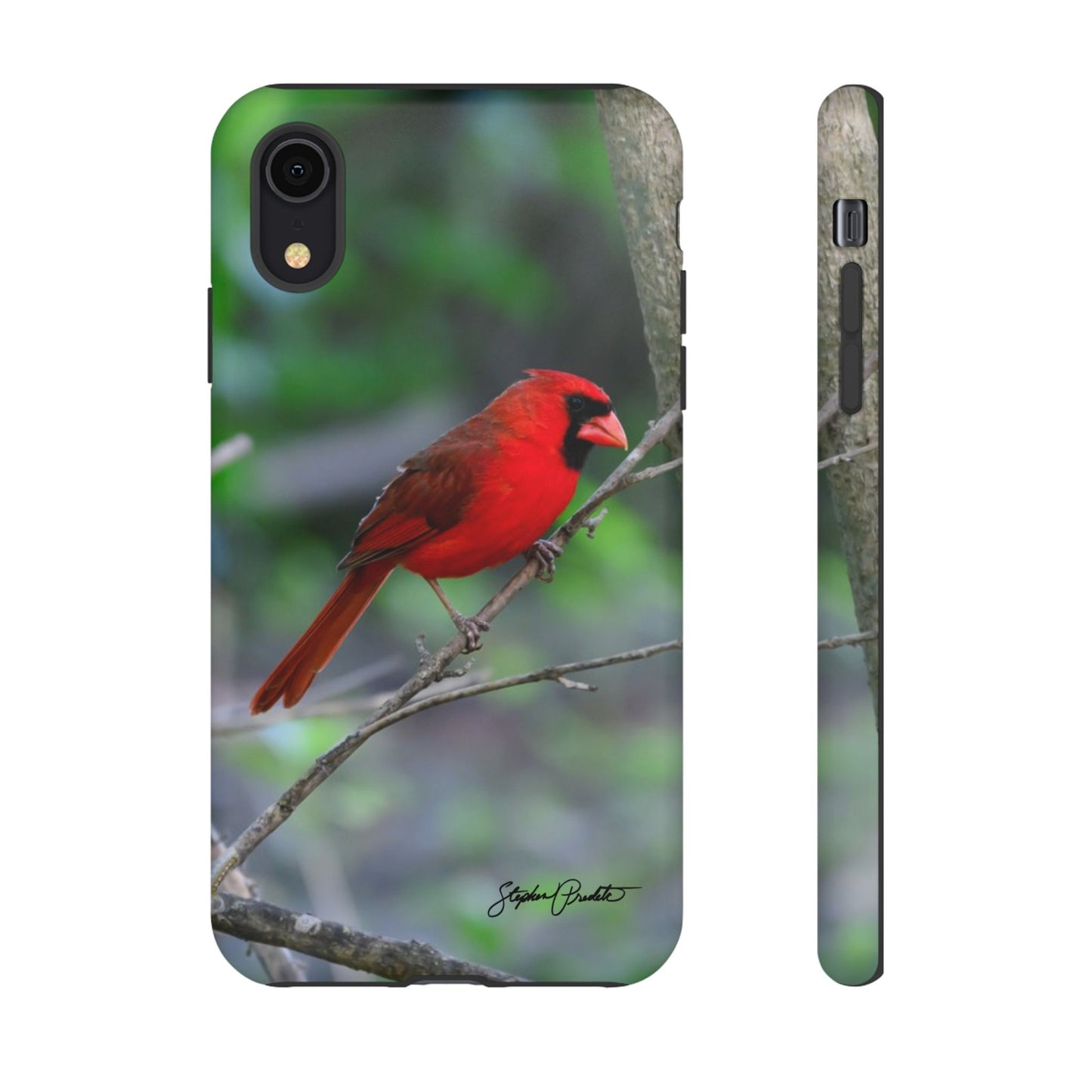 Phone Tough Case - Northern Cardinal 2