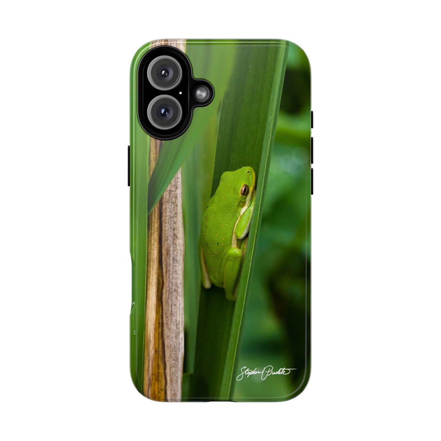 Phone Tough Case - Green Tree Frog