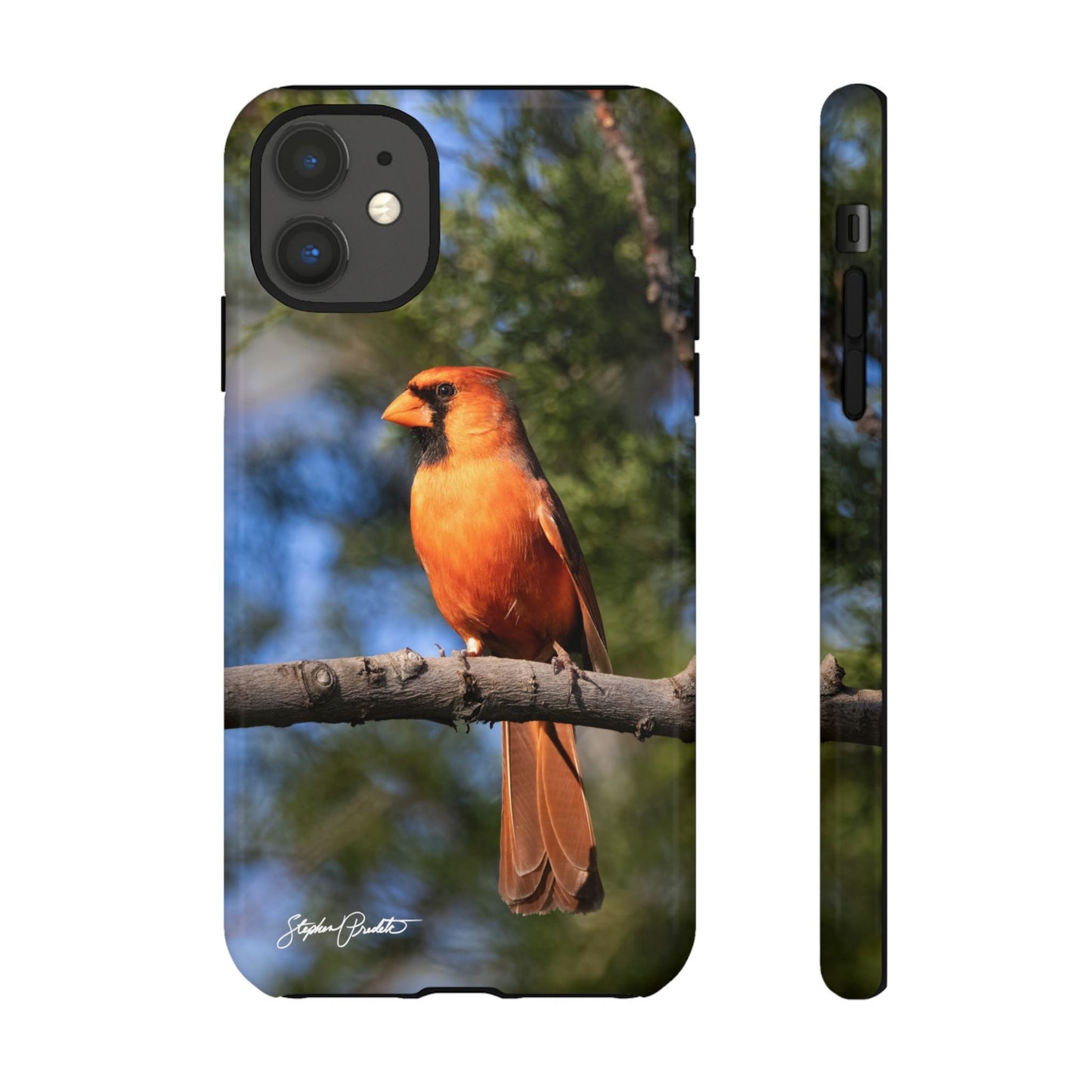 Phone Tough Case - Male Northern Cardinal