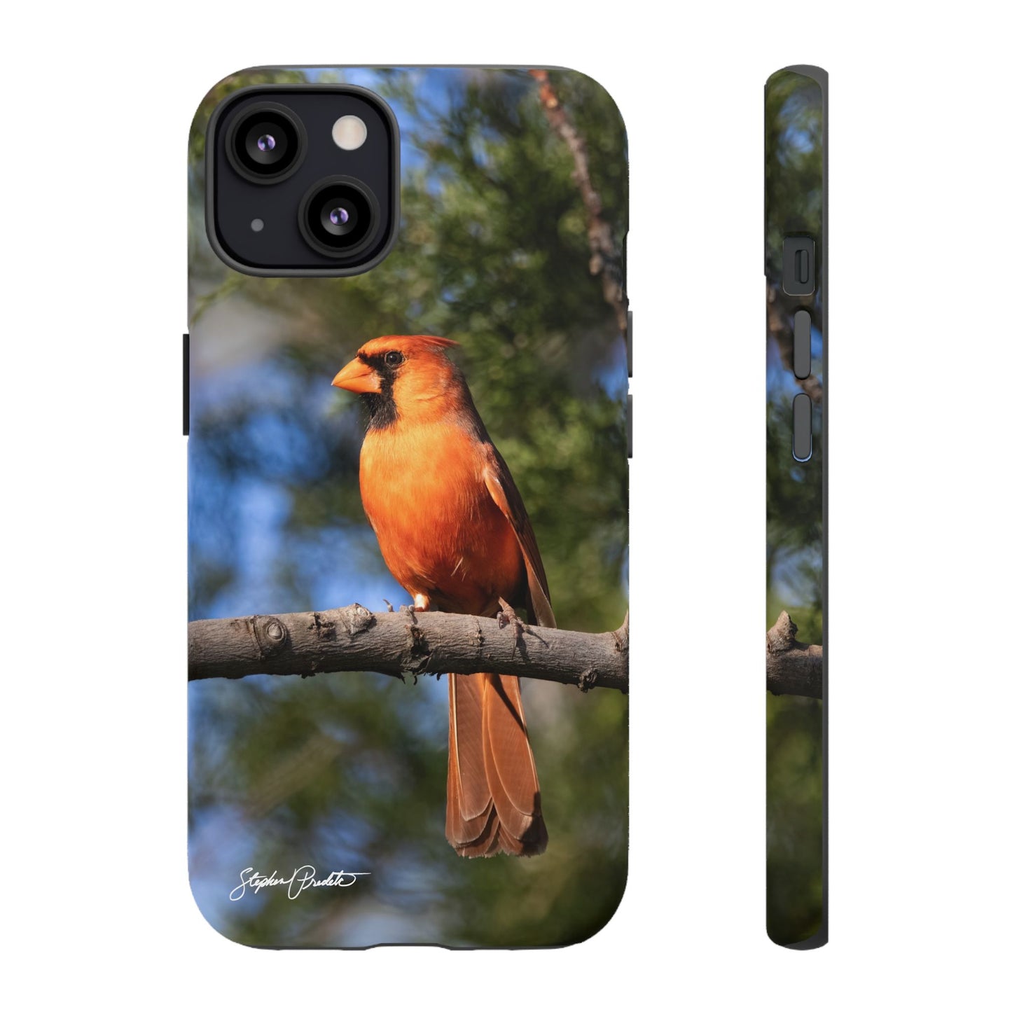 Phone Tough Case - Male Northern Cardinal