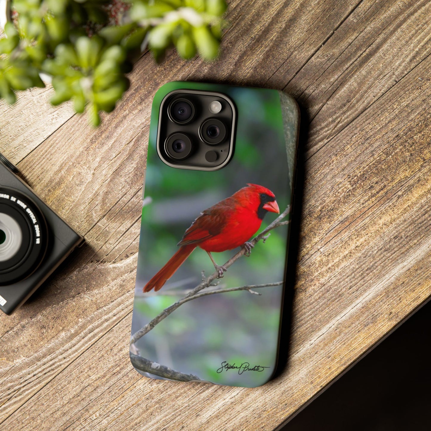 Phone Tough Case - Northern Cardinal 2