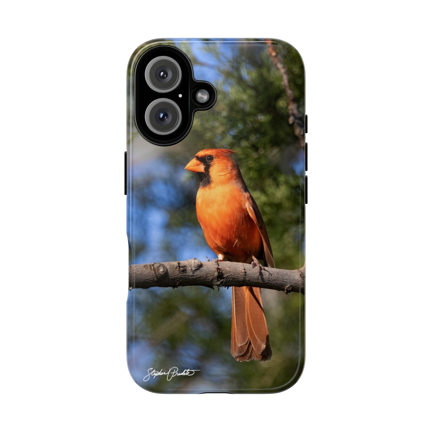 Phone Tough Case - Male Northern Cardinal
