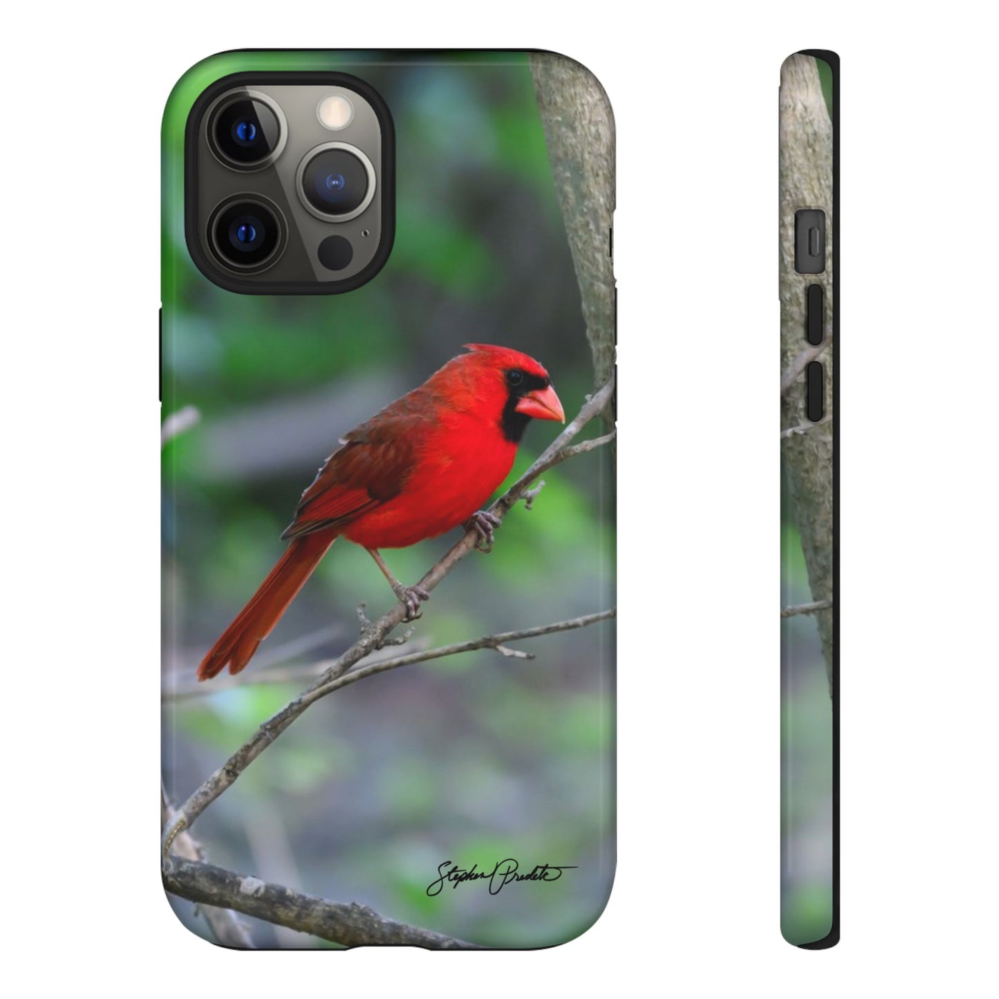 Phone Tough Case - Northern Cardinal 2