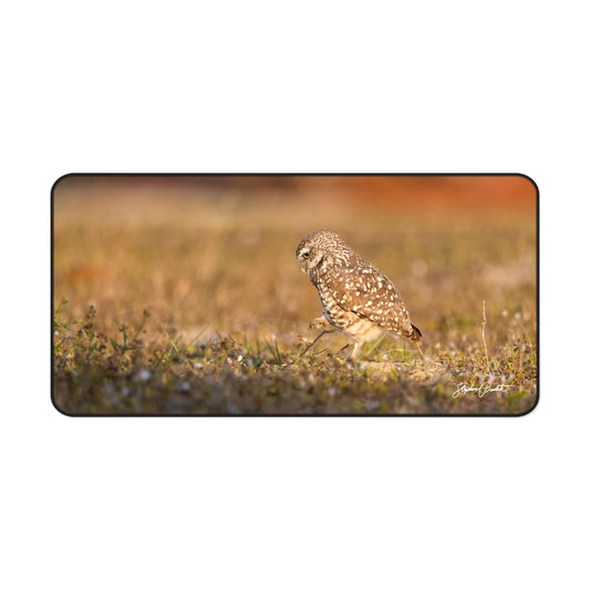 Desk Mat -- Burrowing Owl Stroll