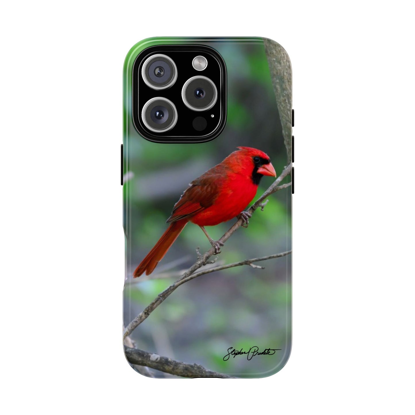 Phone Tough Case - Northern Cardinal 2