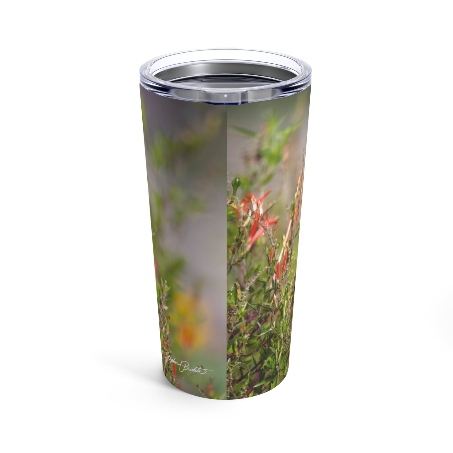 Tumbler 20oz -- Ruby-throated Hummingbird