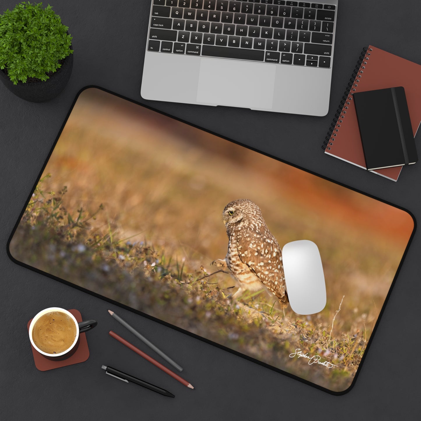 Desk Mat -- Burrowing Owl Stroll