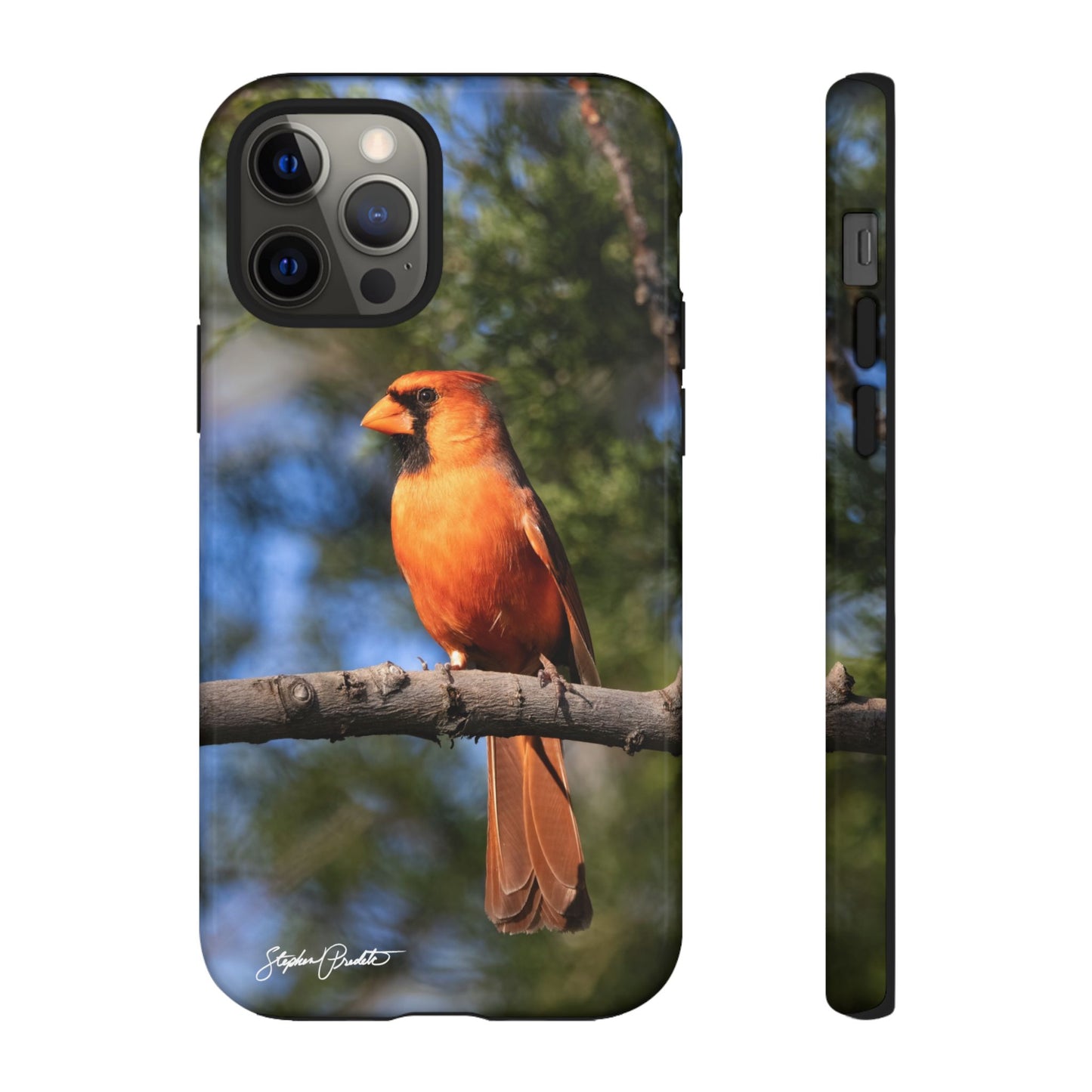 Phone Tough Case - Male Northern Cardinal