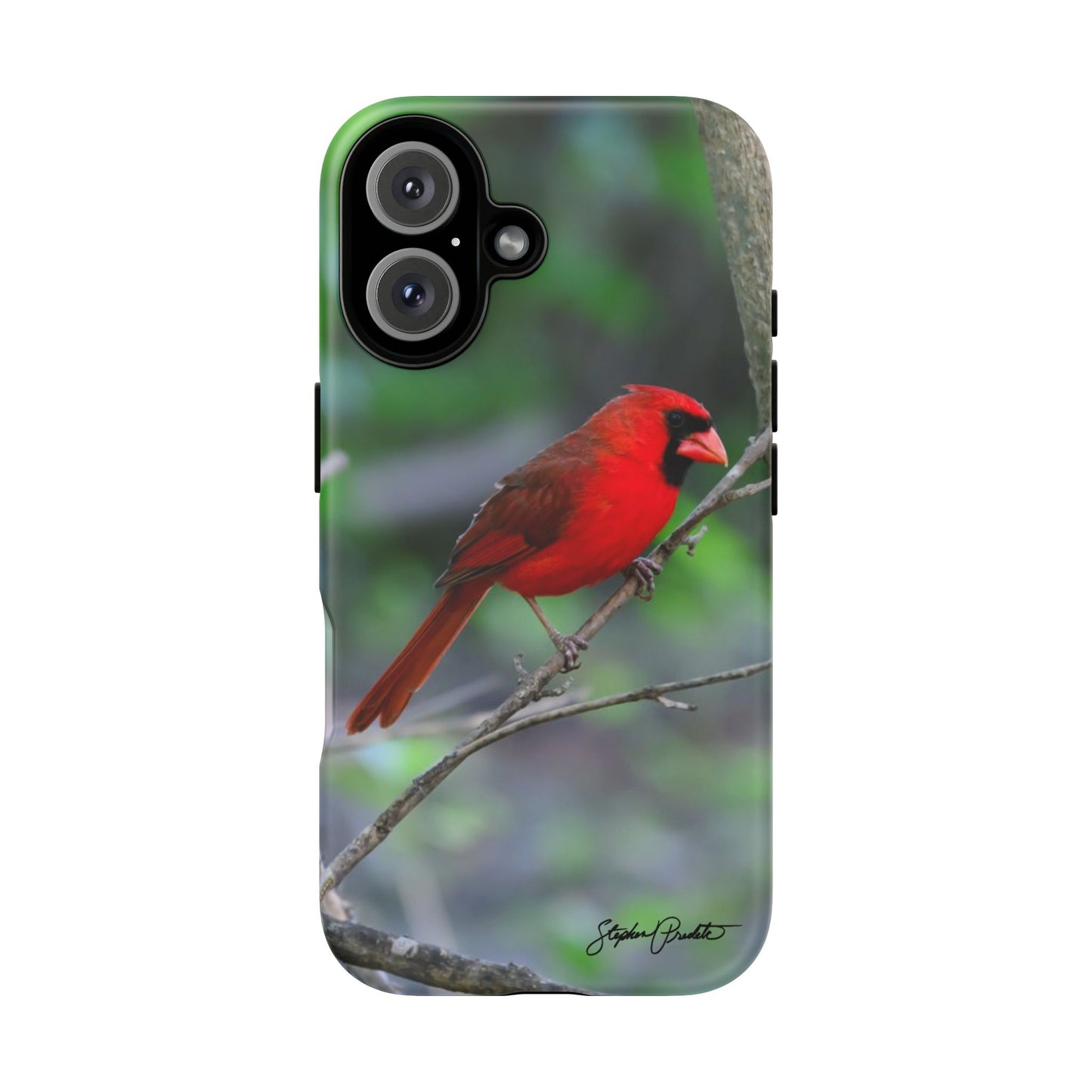 Phone Tough Case - Northern Cardinal 2
