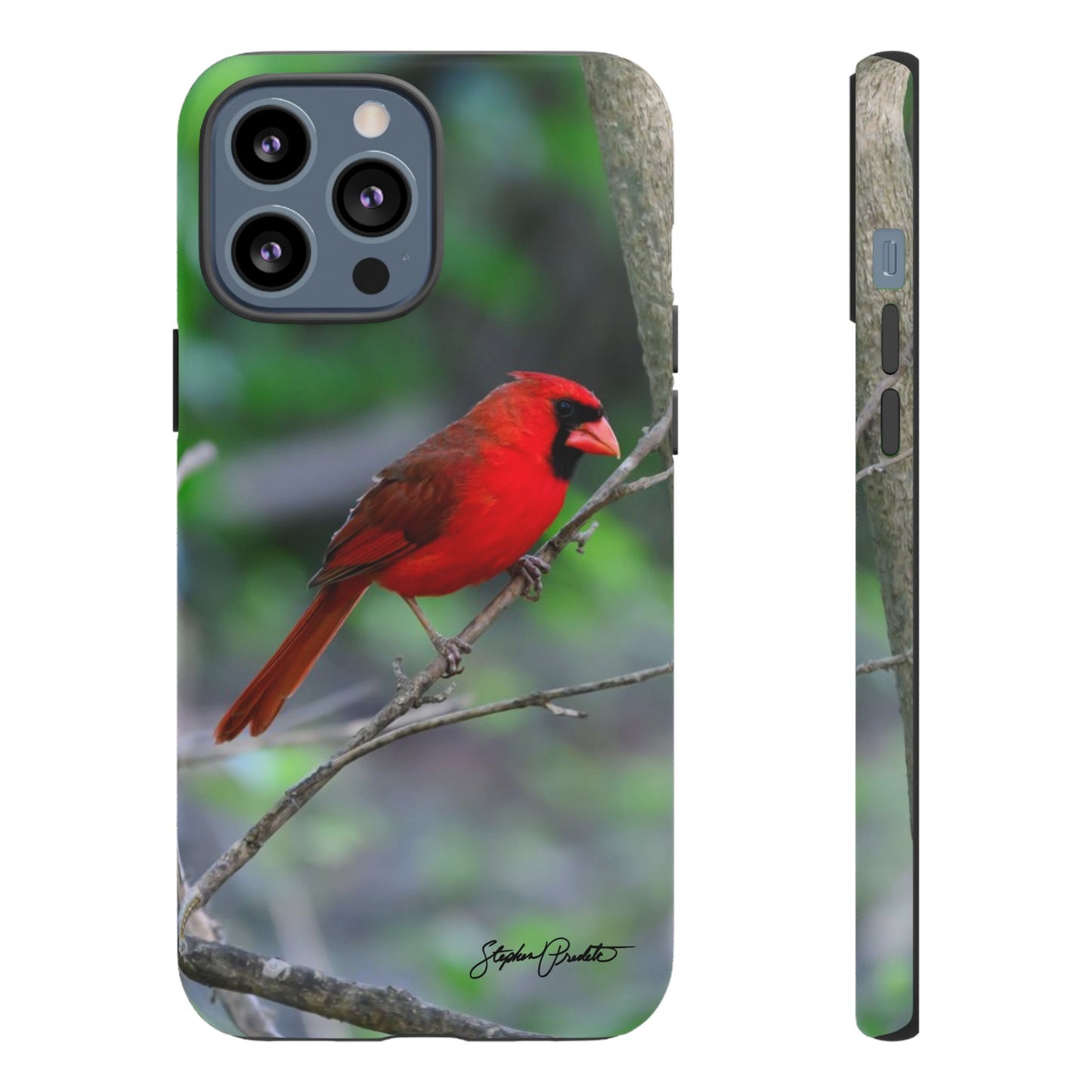 Phone Tough Case - Northern Cardinal 2