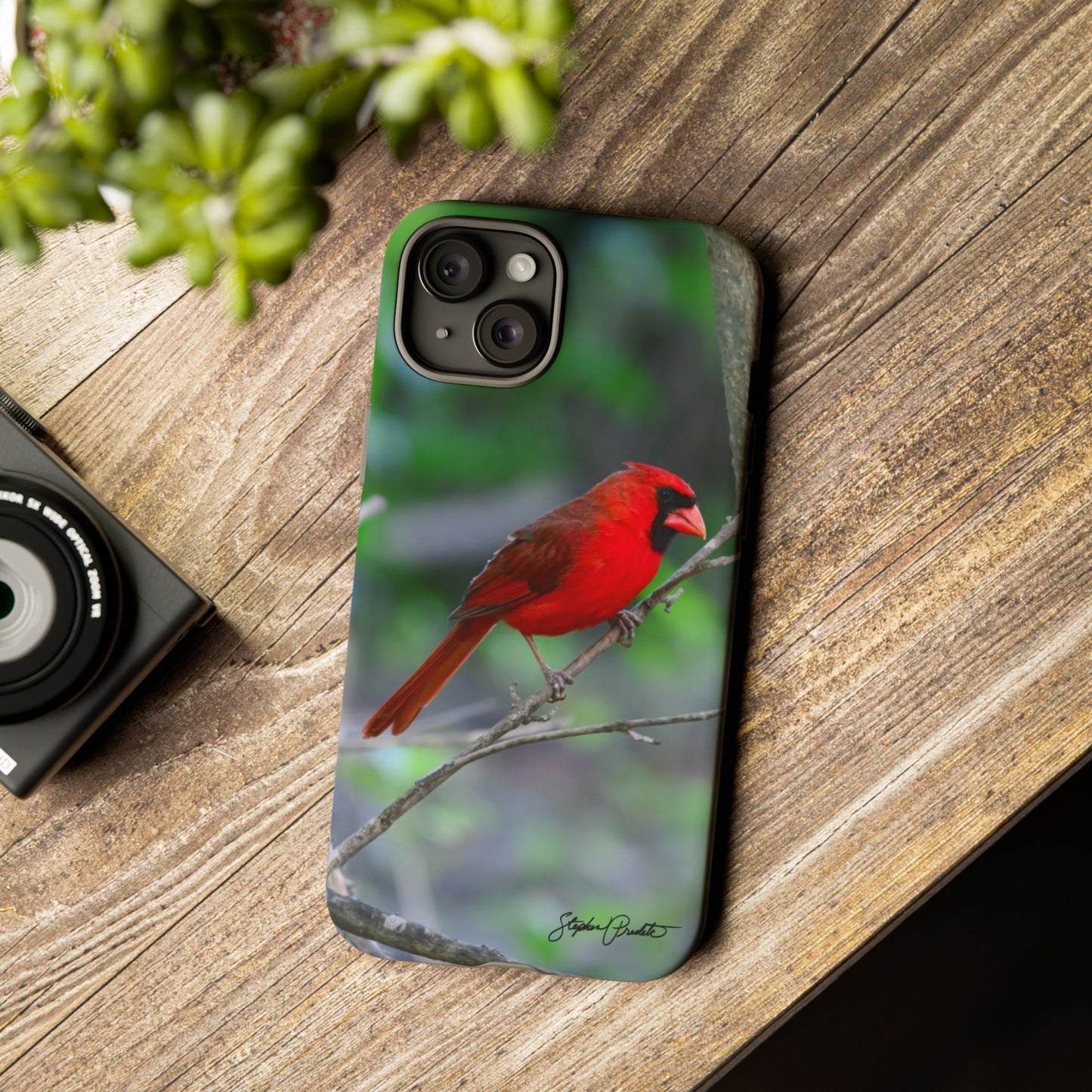 Phone Tough Case - Northern Cardinal 2